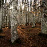 Boxer Push Up in Modal elasticizzato X-Touch - Nero - 0031 nero | Perofil